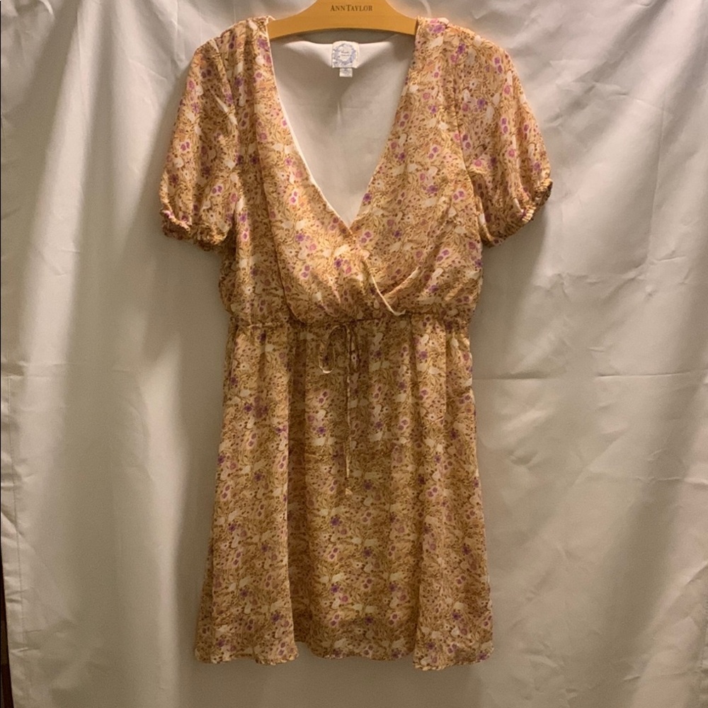 Francesca’s Blue Rain Floral Print Mini Dress XL